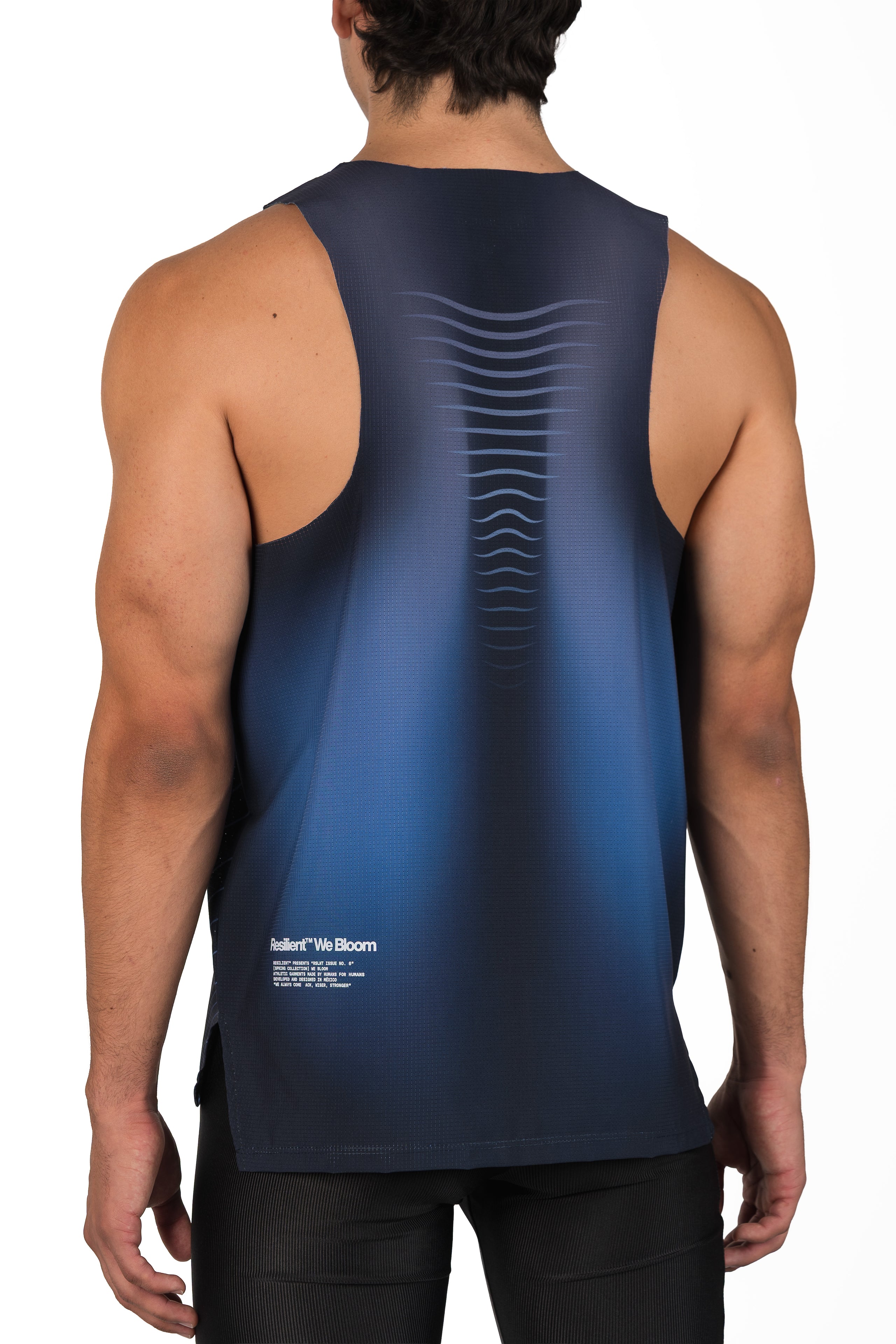 Lotus AirMesh
