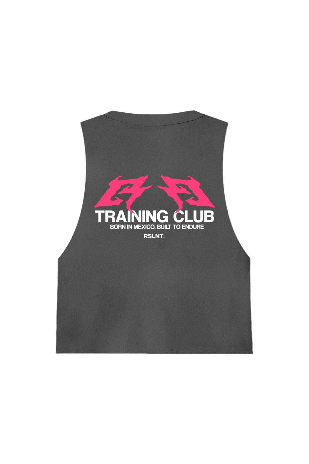 RSLNT Axis (Tank Pigment Edition)